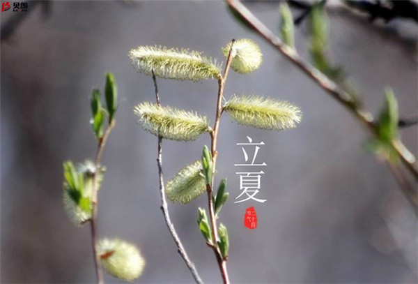 二十四節氣立夏，那些您不知道的習俗